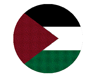 Palestine page