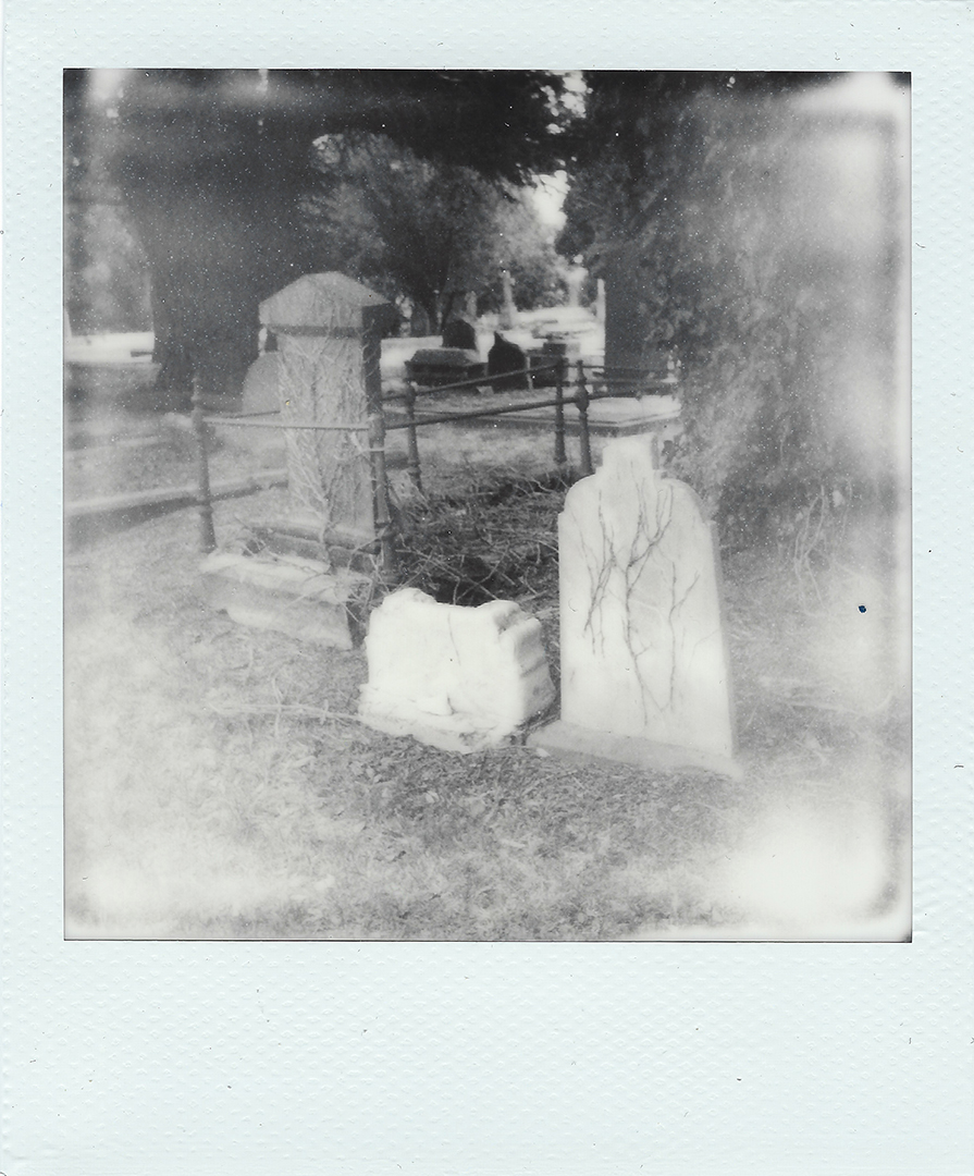 Graves overgrown with climbing tendril plants.