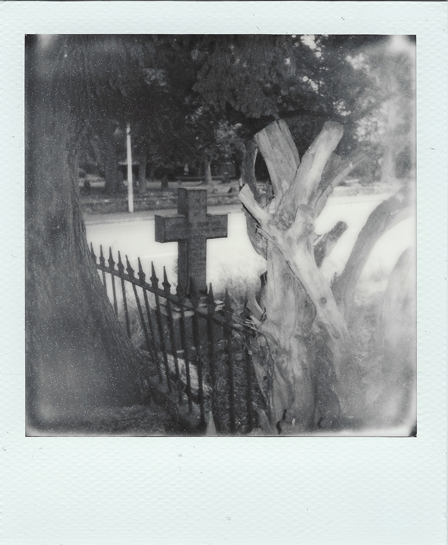 A grave between branches of trees.