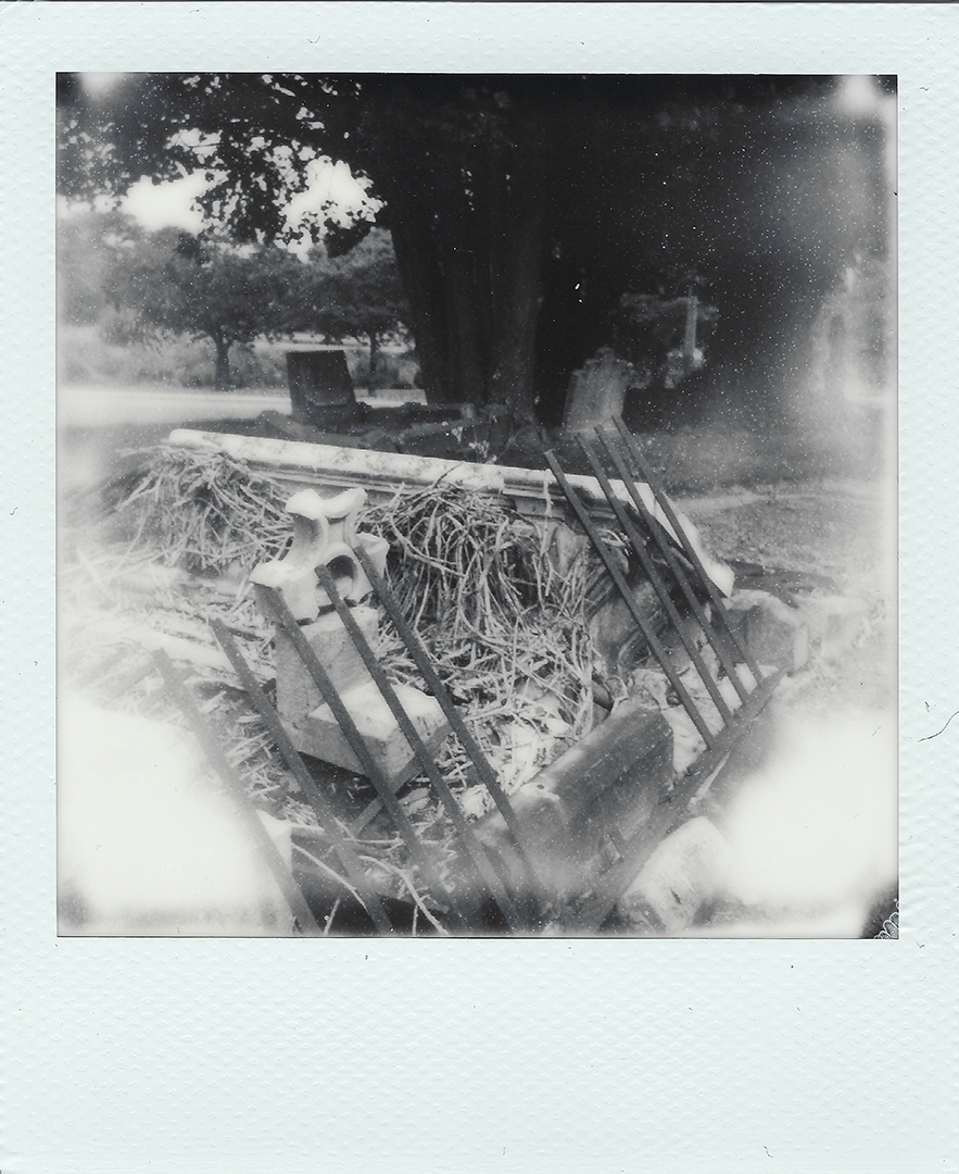 Sunken graves overgrown with vines.
