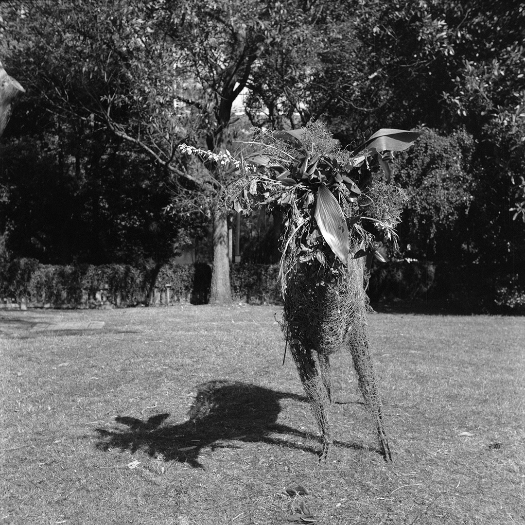 A deer sculpture withp plants for a face.