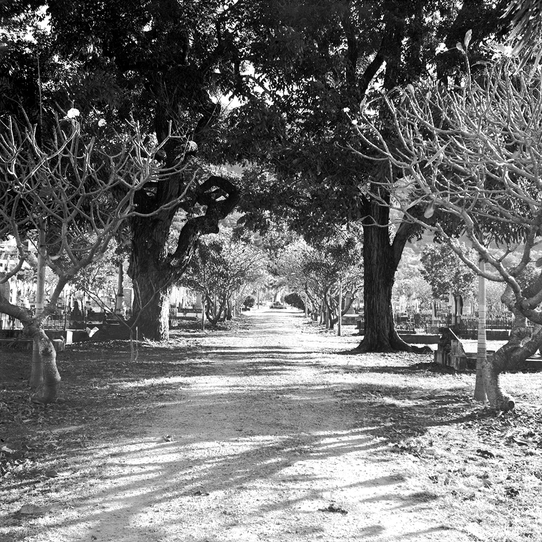 The path through a cemetery.