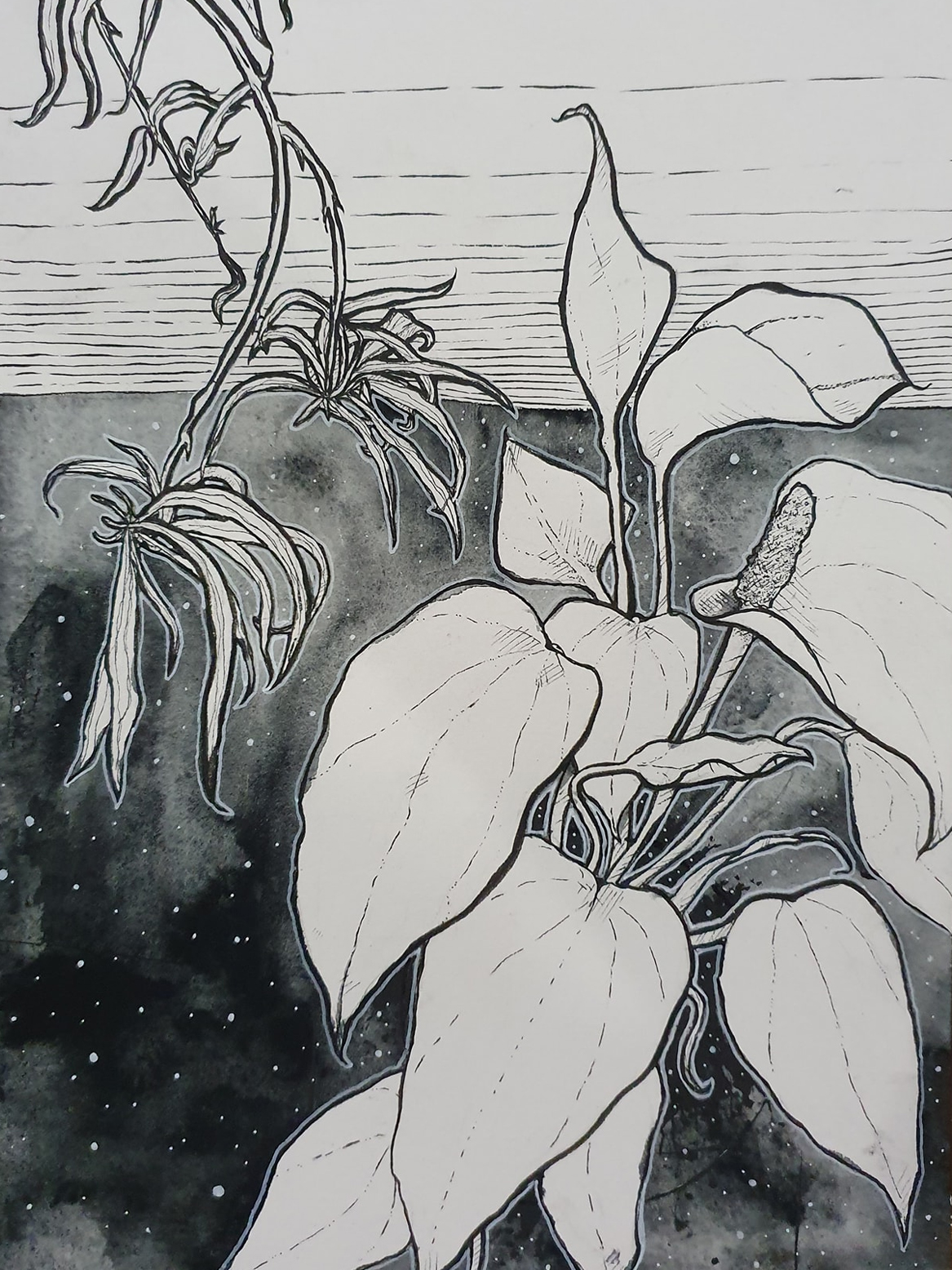 Flowers against a night sky.