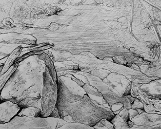 A creek in the rainforest.