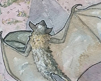 A bat flying along a road as another is caught in telephone wires.